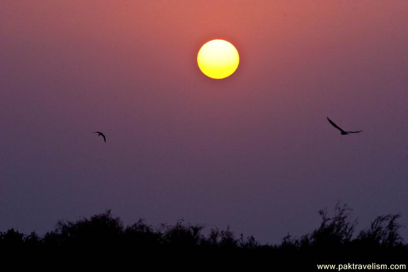 Sun Rise at Mirpur Sakro, Sindh