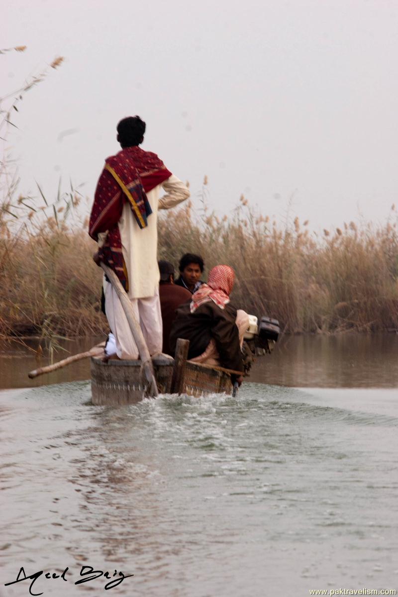Manchar Lake, Dadu Sindh