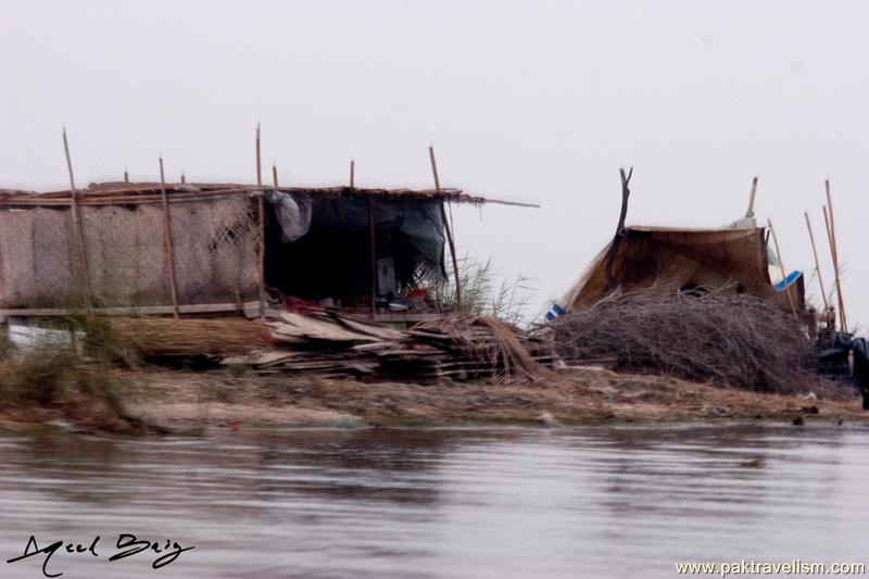 Manchar Lake, Dadu Sindh