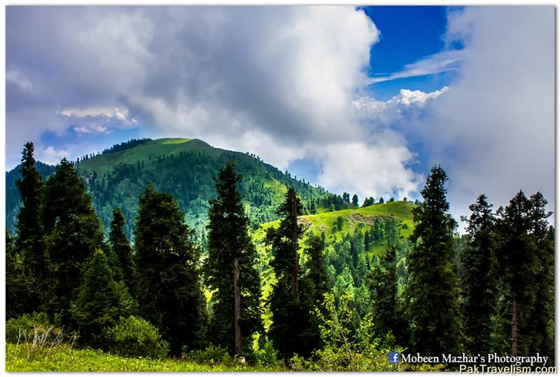 View from Miranjani Top - Galiyaat Region, Pakistan